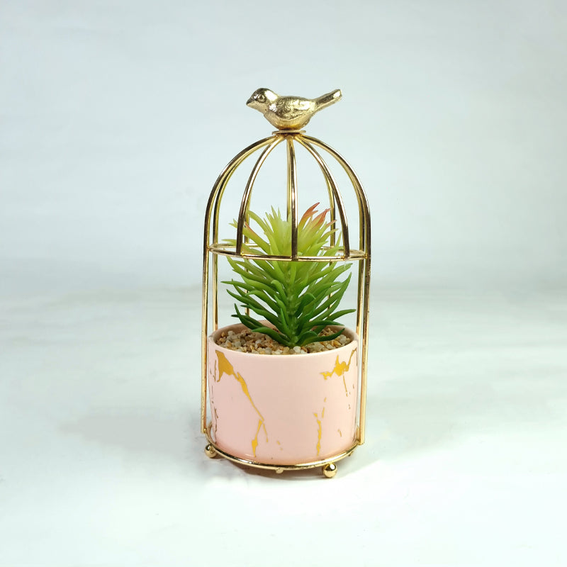Plant in a Cage